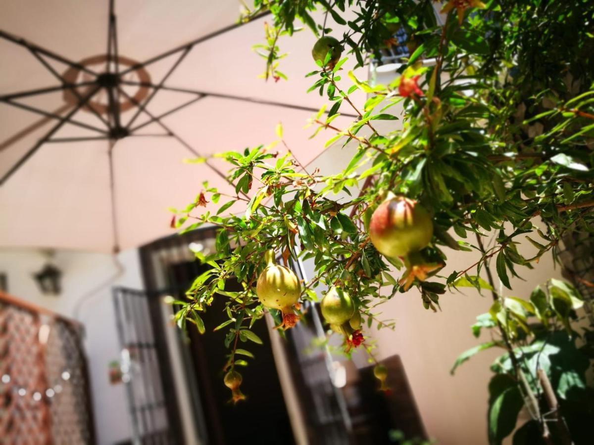 Bed and Breakfast Bella Palermo Exterior foto